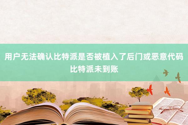 用户无法确认比特派是否被植入了后门或恶意代码比特派未到账