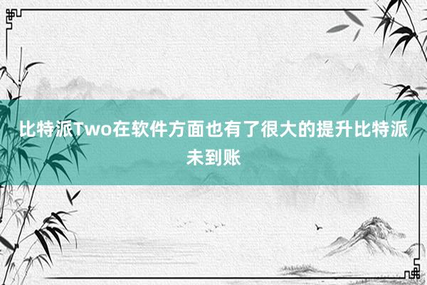 比特派Two在软件方面也有了很大的提升比特派未到账