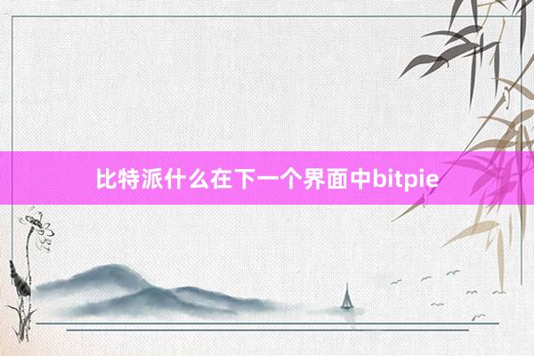 比特派什么在下一个界面中bitpie