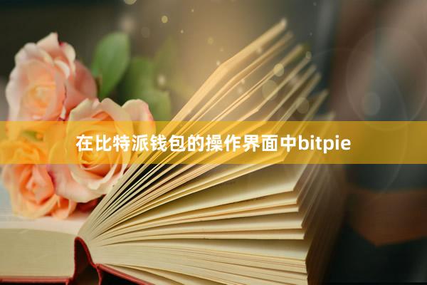 在比特派钱包的操作界面中bitpie