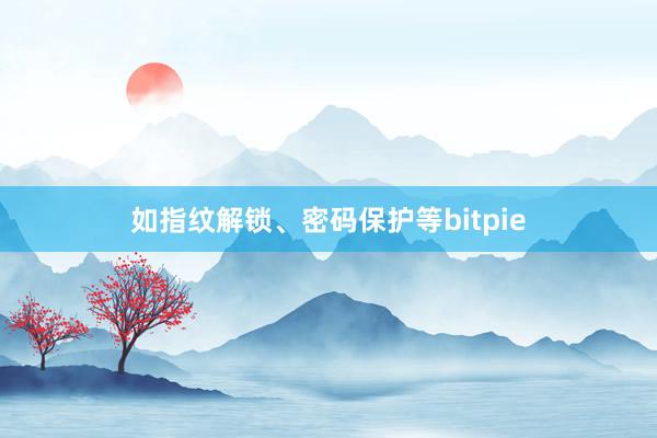 如指纹解锁、密码保护等bitpie