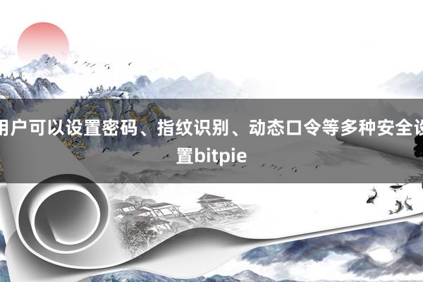 用户可以设置密码、指纹识别、动态口令等多种安全设置bitpie