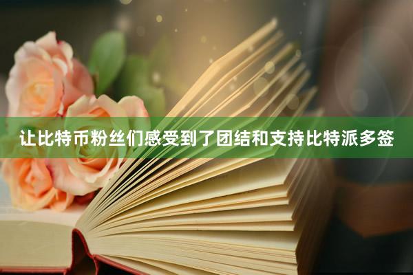 让比特币粉丝们感受到了团结和支持比特派多签